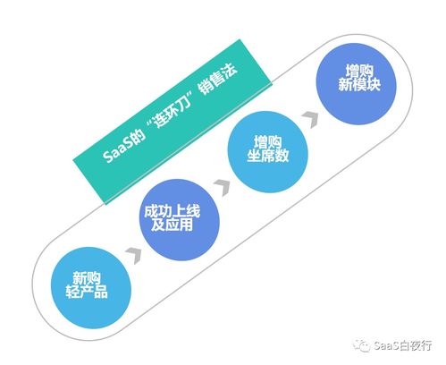 中國SaaS公司的互聯(lián)網(wǎng)特性與互聯(lián)網(wǎng)銷售